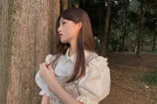 华夏人工智能ETF联接A